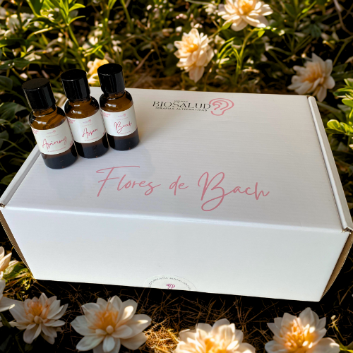 Kit Flores de Bach
