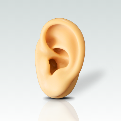Oreja de Silicón